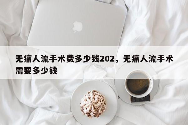 无痛人流手术费多少钱202,无痛人流手术需要多少钱