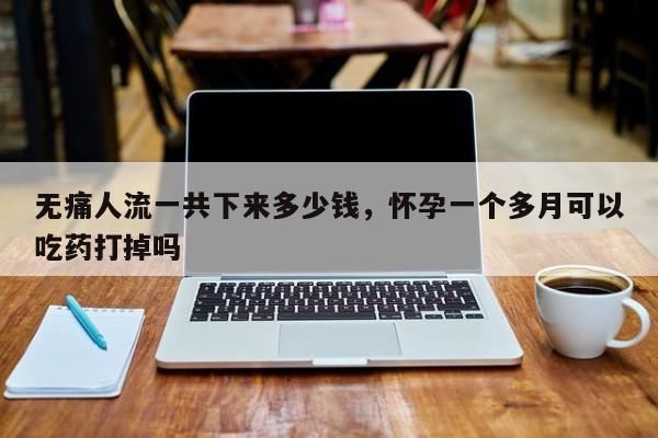 无痛人流一共下来多少钱,怀孕一个多月可以吃药打掉吗